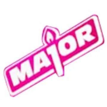 Image du marque Major