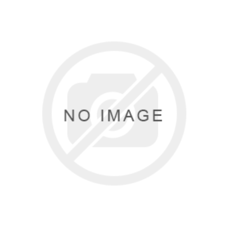 Picture of 16 Light 4 Style Christmas LEED String Lights 60in